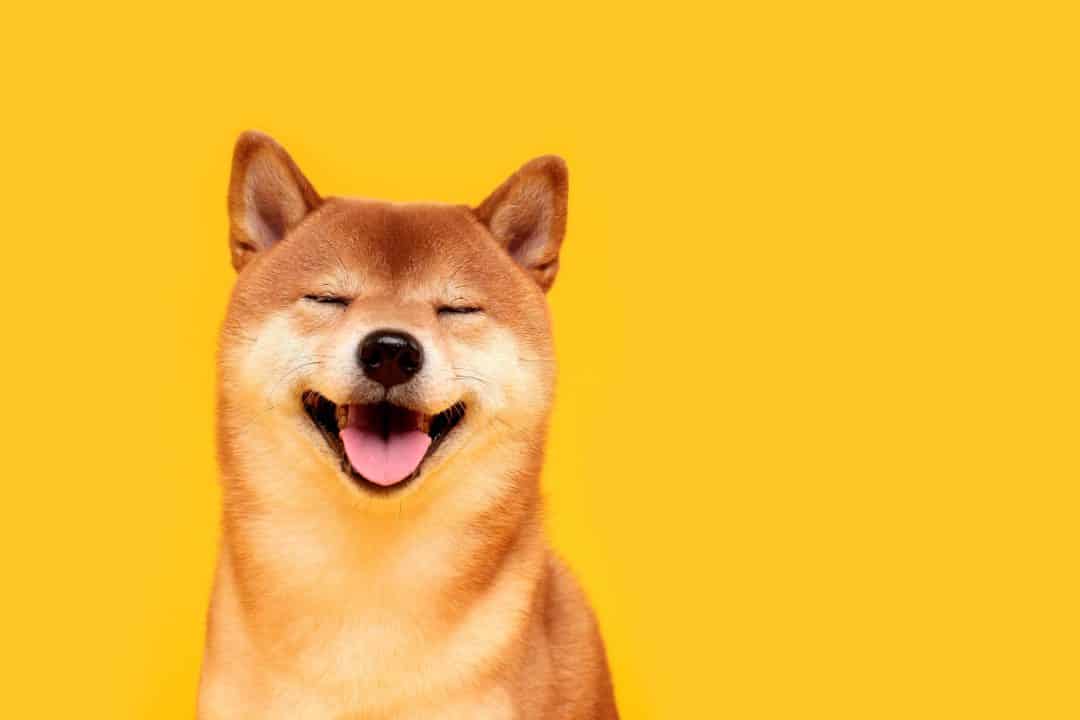 Dogecoin Digs Itself Into A Bullish Pattern: How To Play The Break