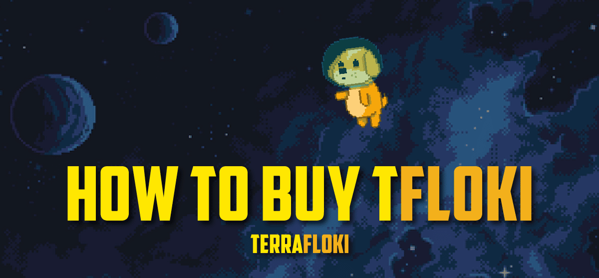 How to Buy TerraFloki