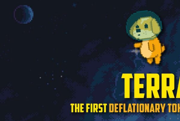 TerraFloki - TFLOKI