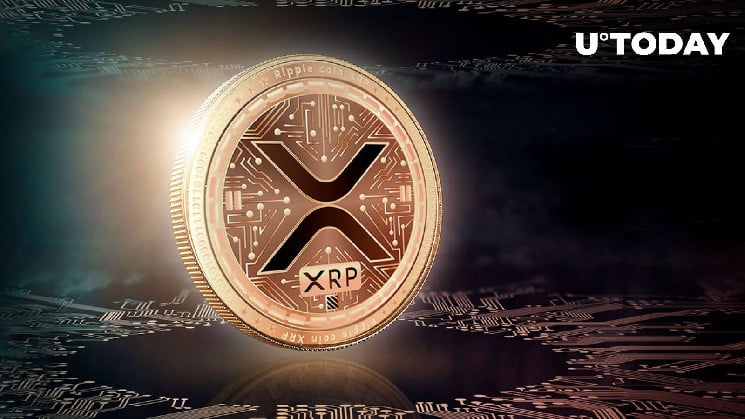 XRP Top Wallet Unveils Exciting News for XRP Holders